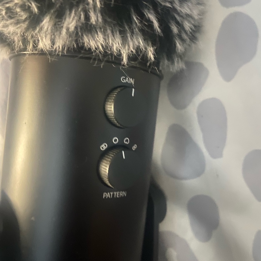 Blue yeti mic